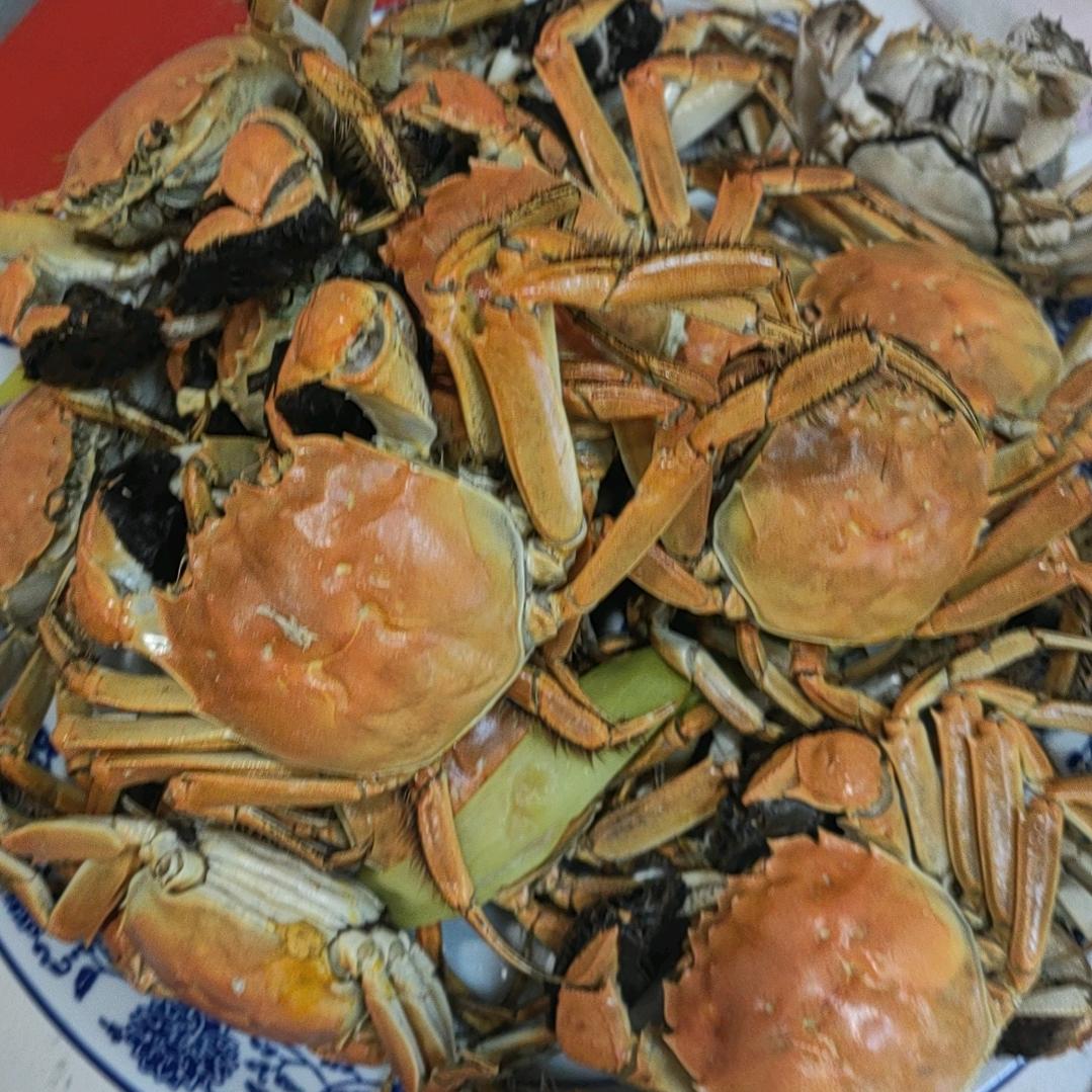 逝去的岁月
