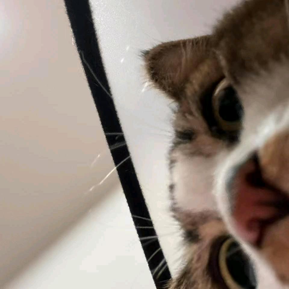 唯见江心秋月白