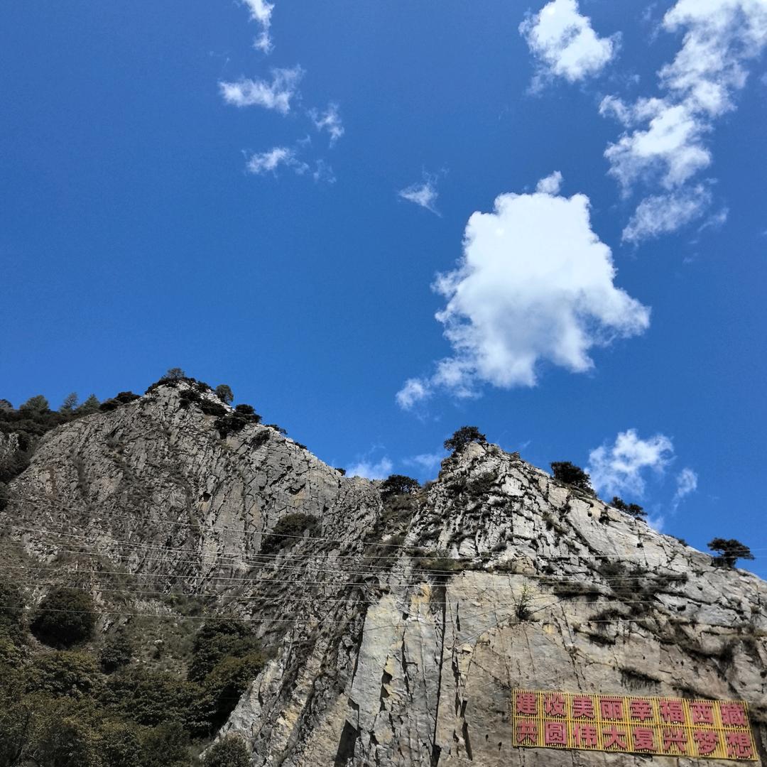 王小黑