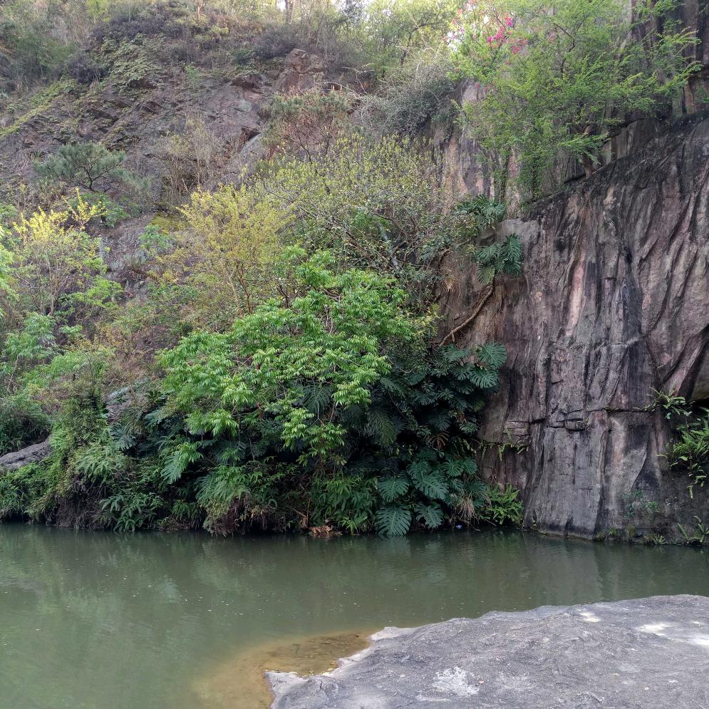 勿忘心安(ಡωಡ)