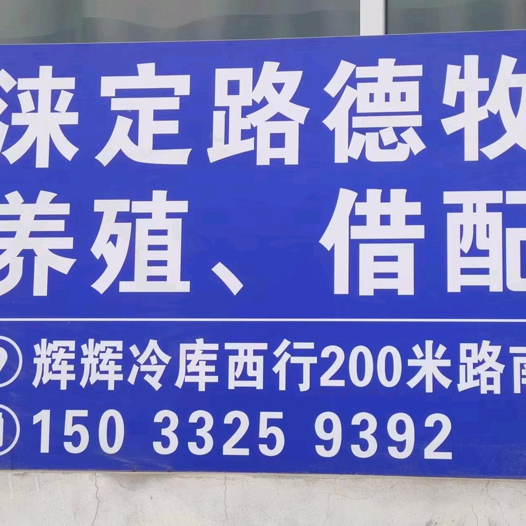 涞定路德牧繁殖借配