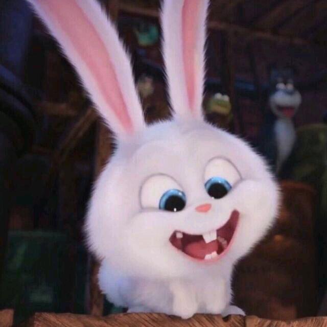 ☆兔兔★