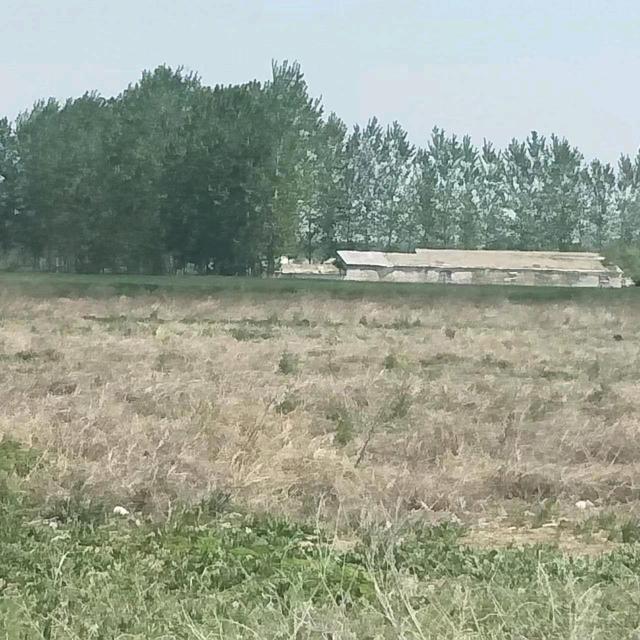 正义