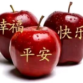 袁姐
