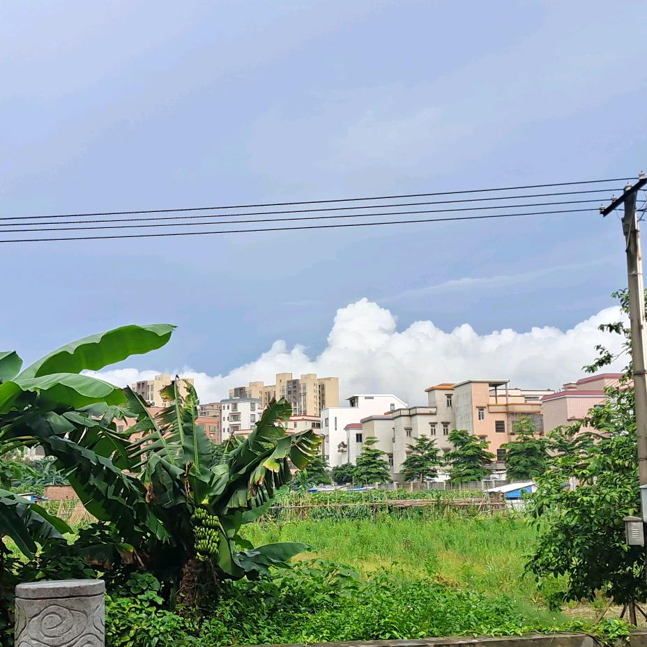 遇见🌈🐾🐾🐾