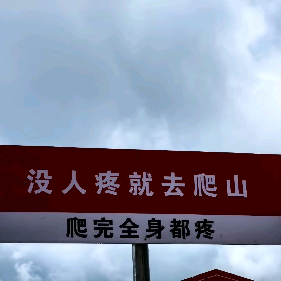 阅阅头像