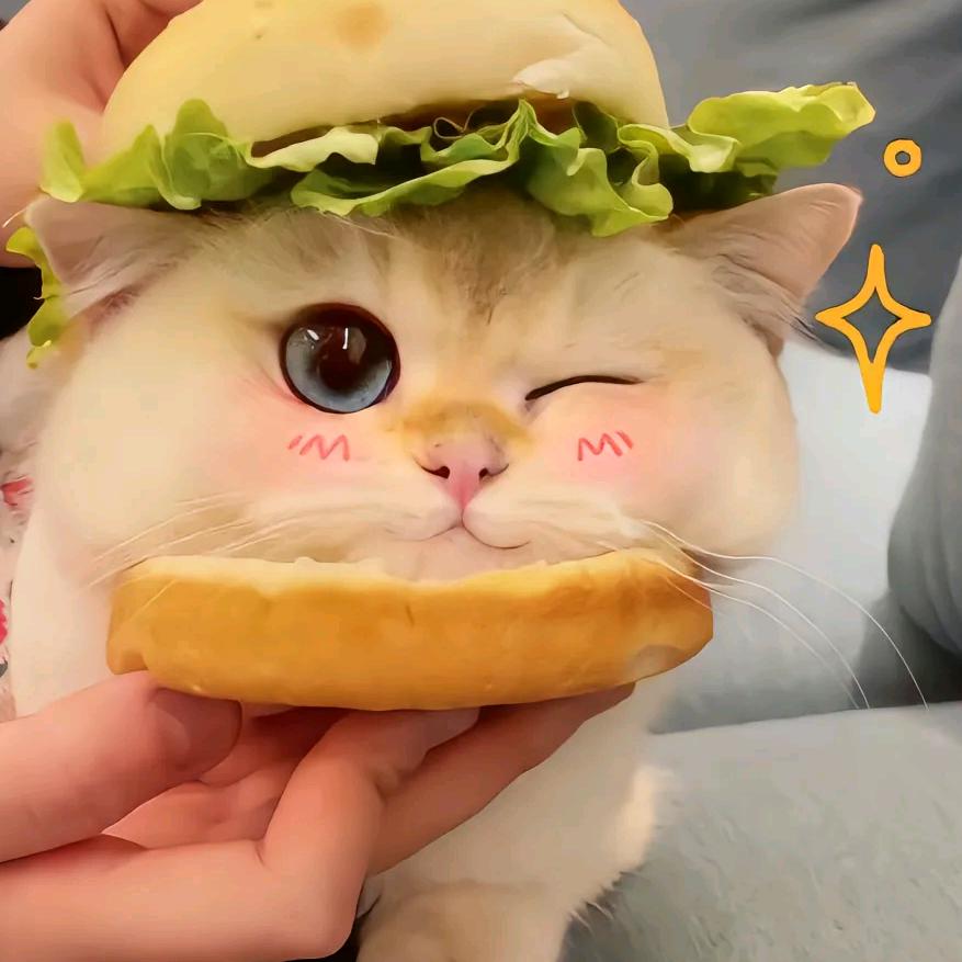 走街串巷的杀马特