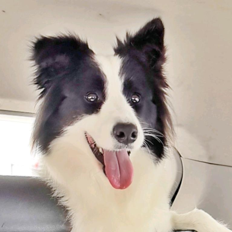 奔跑吧！姚富贵