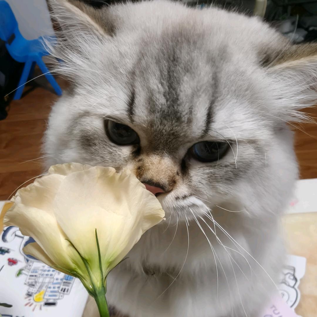 宵夜宵夜
