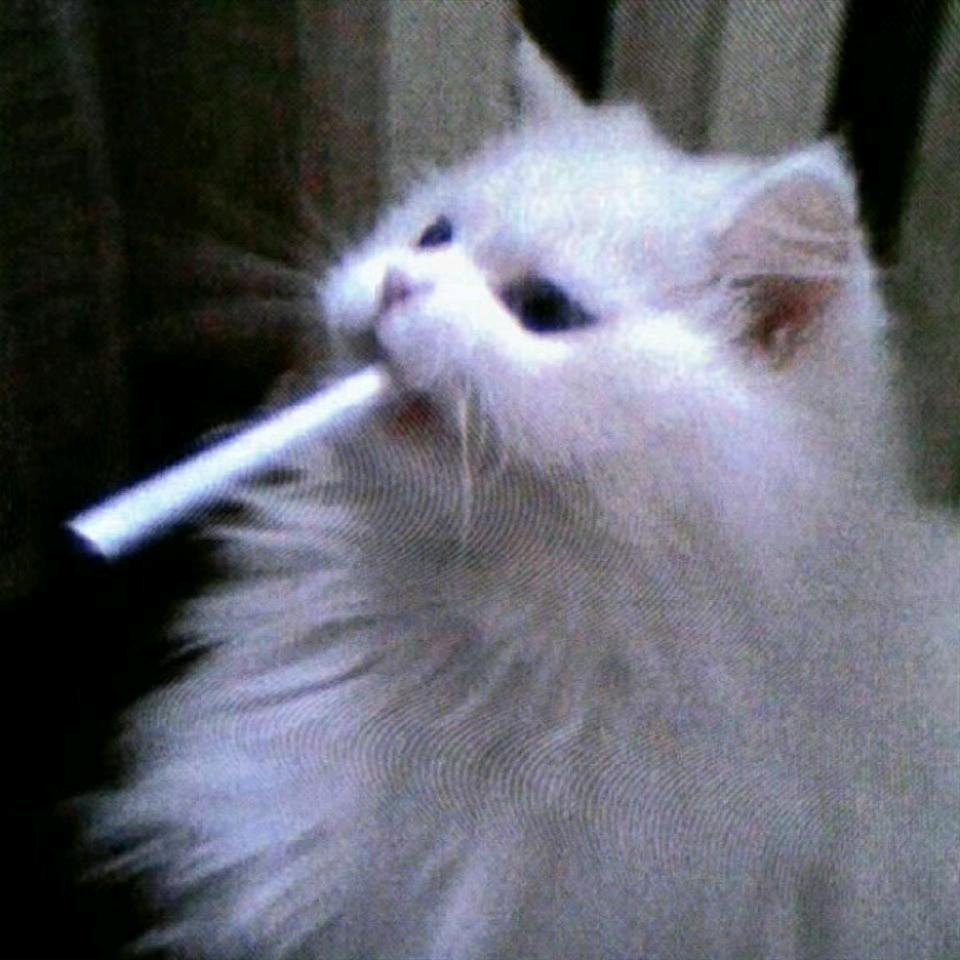 第27次打翻水杯