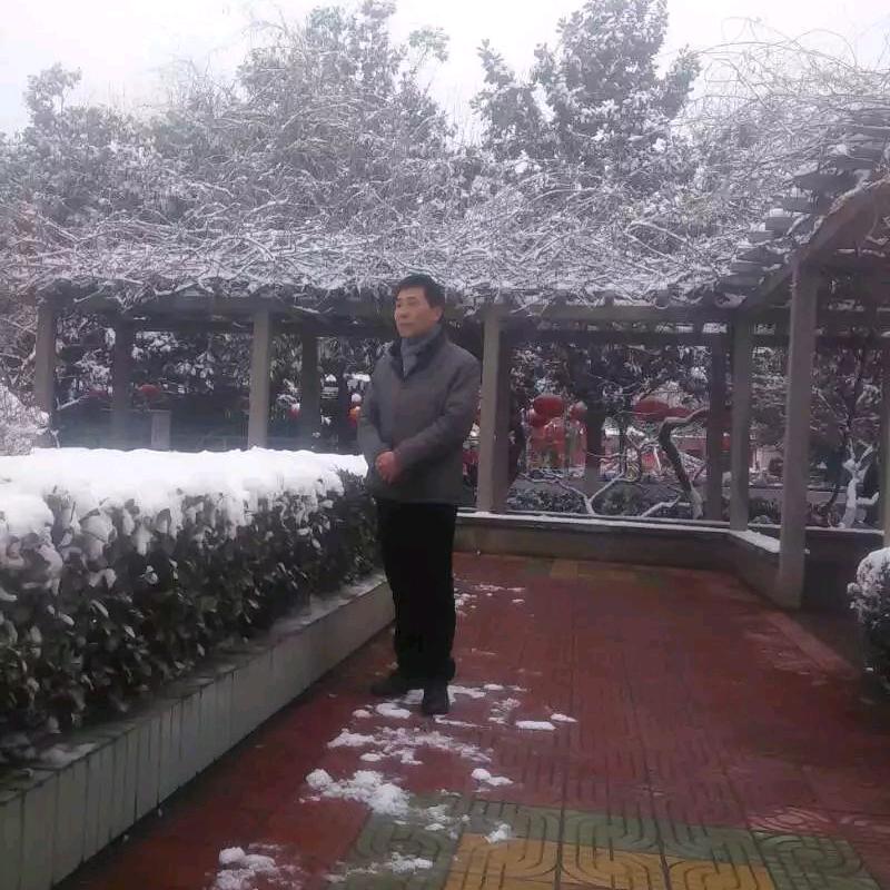 雁南飞