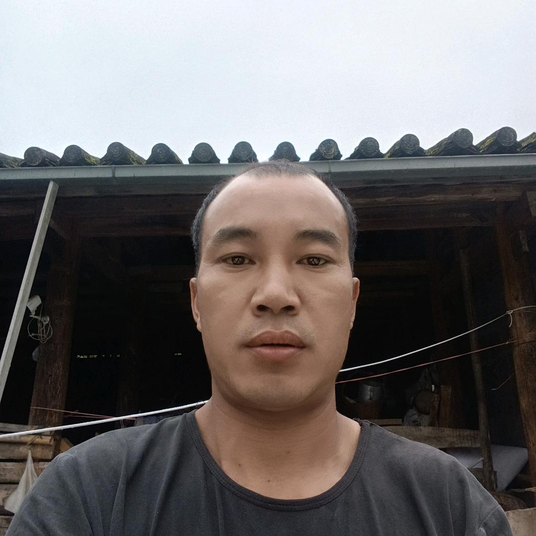 戴维孝