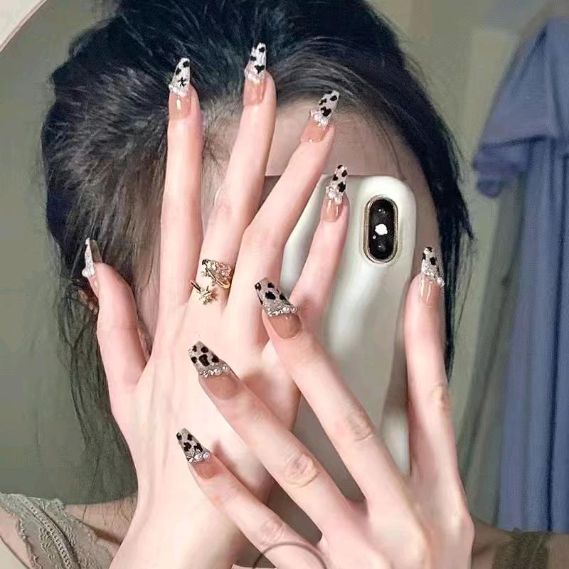 芙蓉