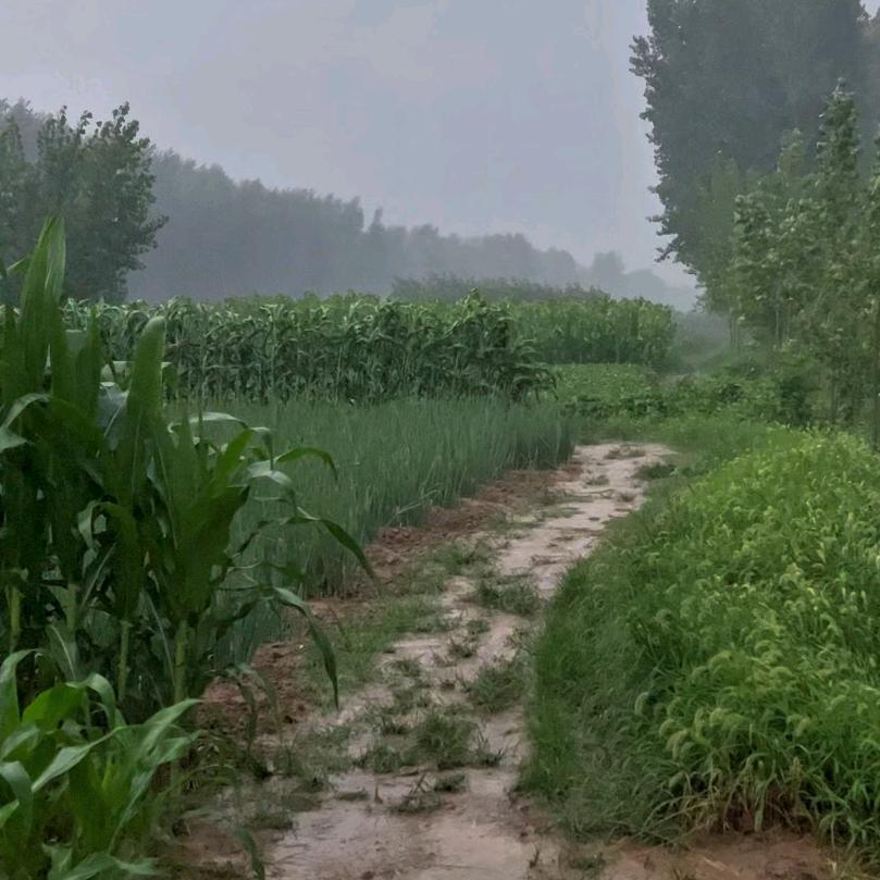 壹贰陆