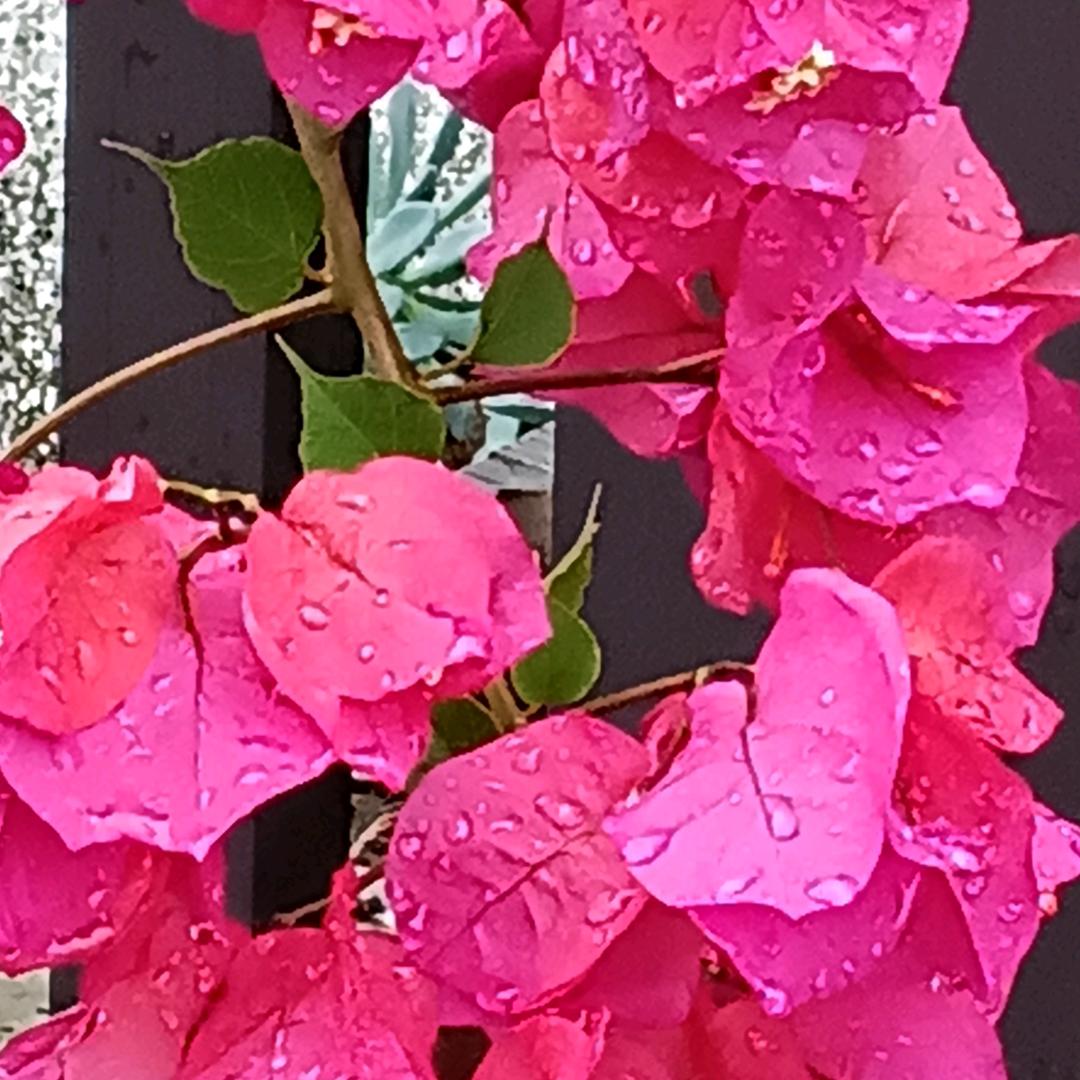 এº᭄安然💞༊ ړ时光💞ঞᩚ᭄::