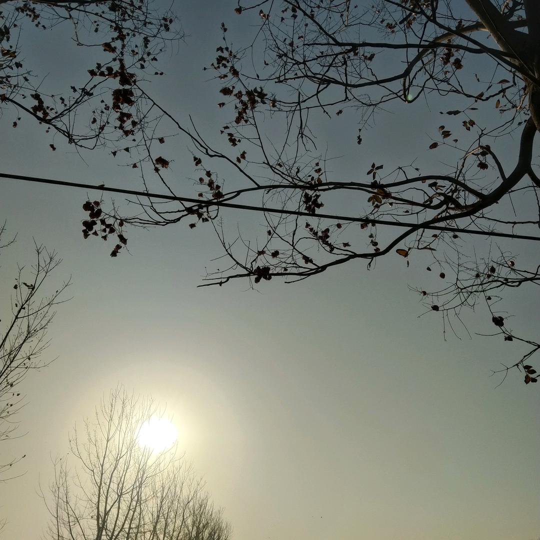 🌵自由🌺随心🍀