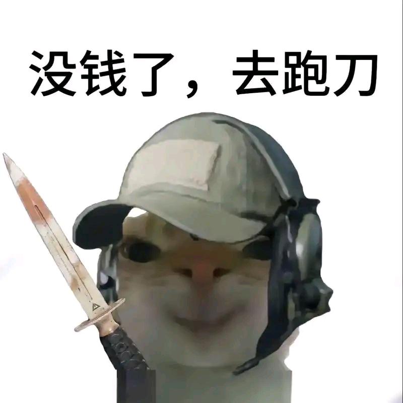 龟速流（三角洲行动）