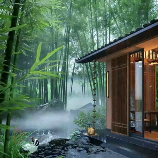 心跳多久爱你多久