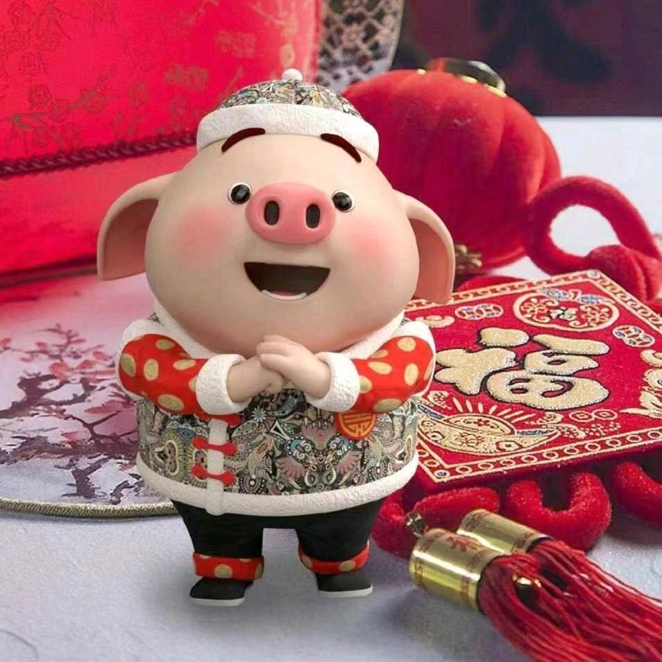 🌈阿飞好物推荐🌈