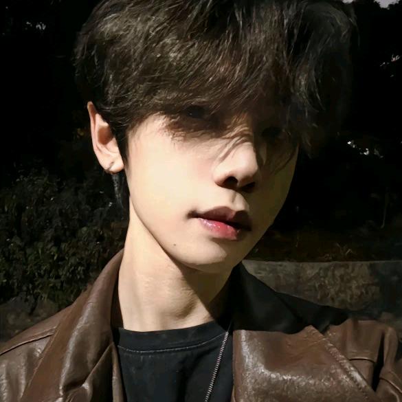 李木子头像