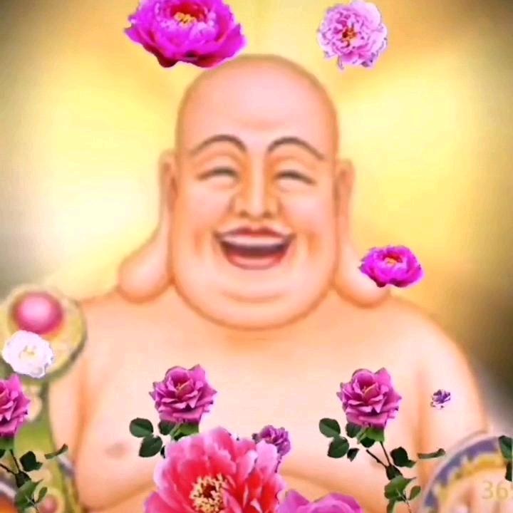李哥❤️