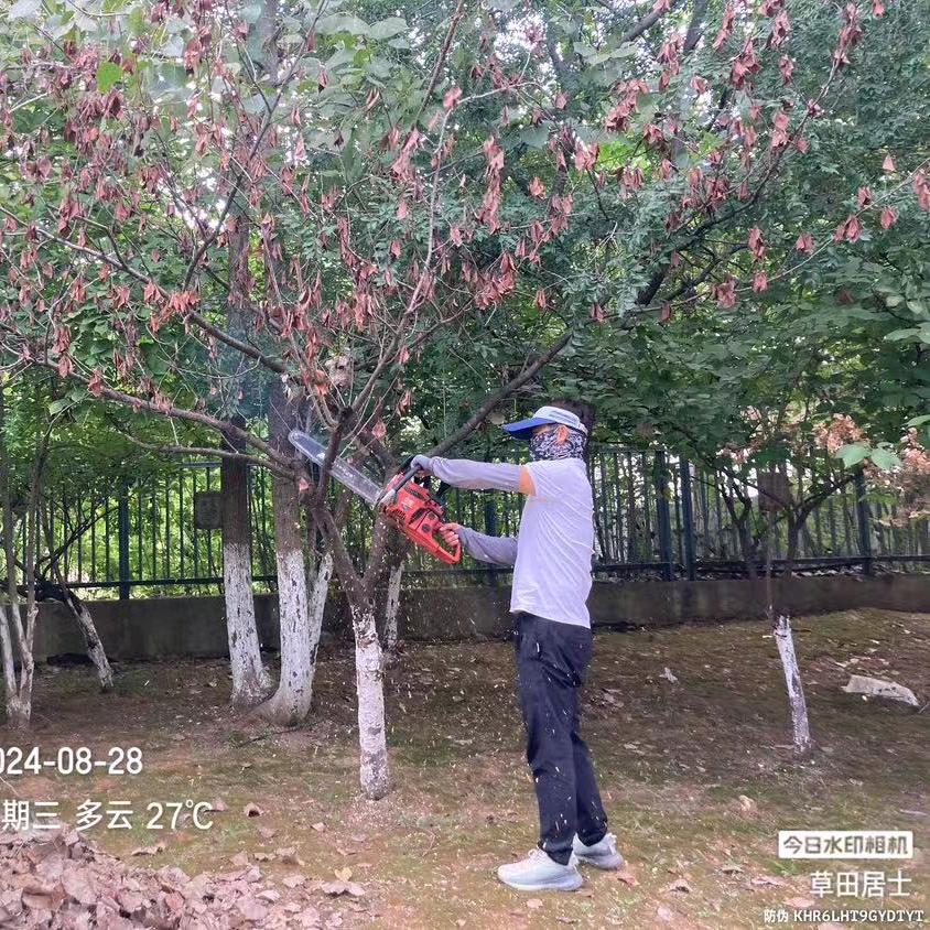 好了伤疤忘了疼