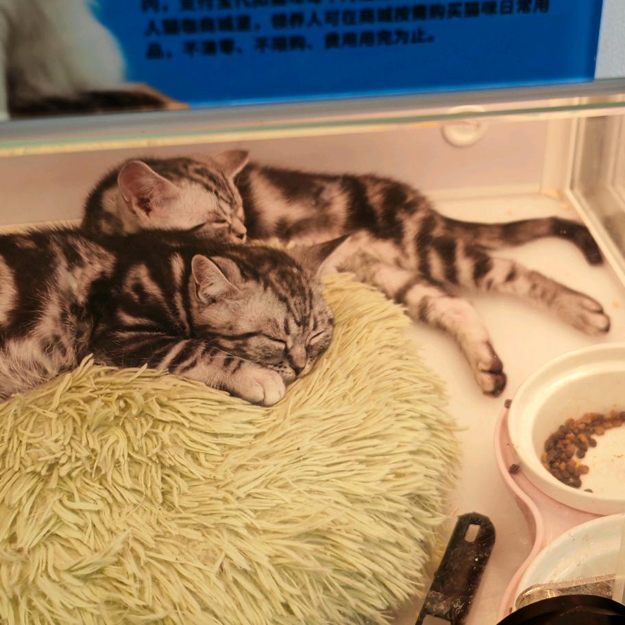 心存互念