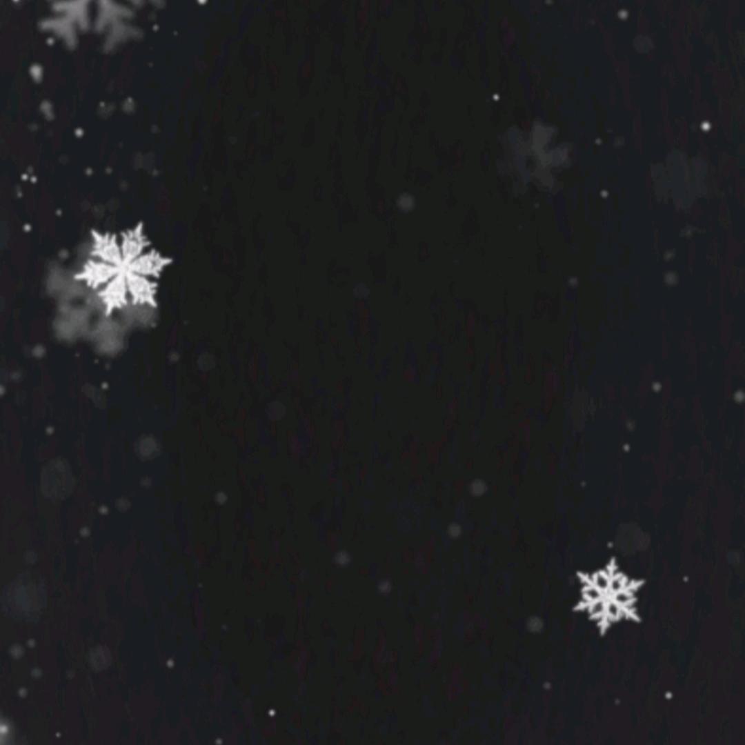 😾天🦅☂️次