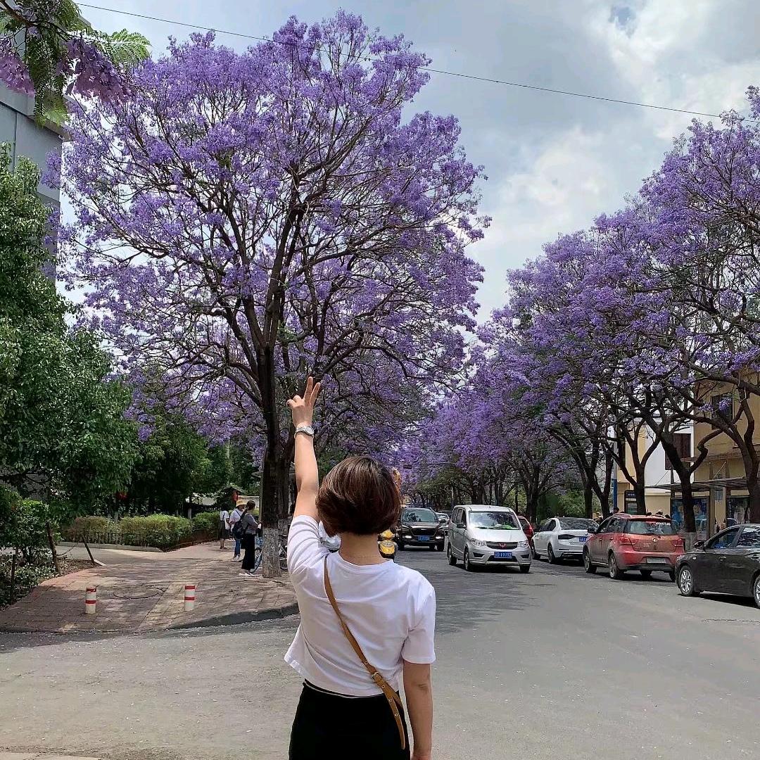 💋不念过往🍀