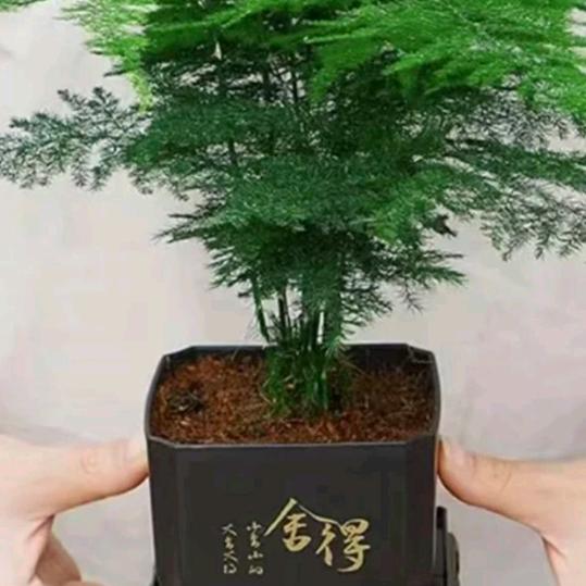 八方来财，日进斗金