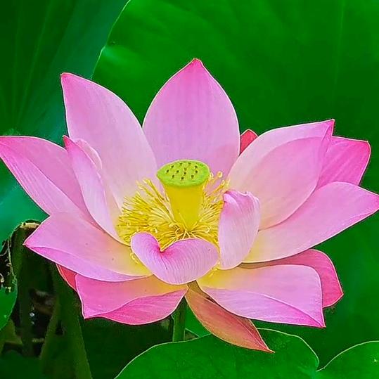 时进忠严选好货店