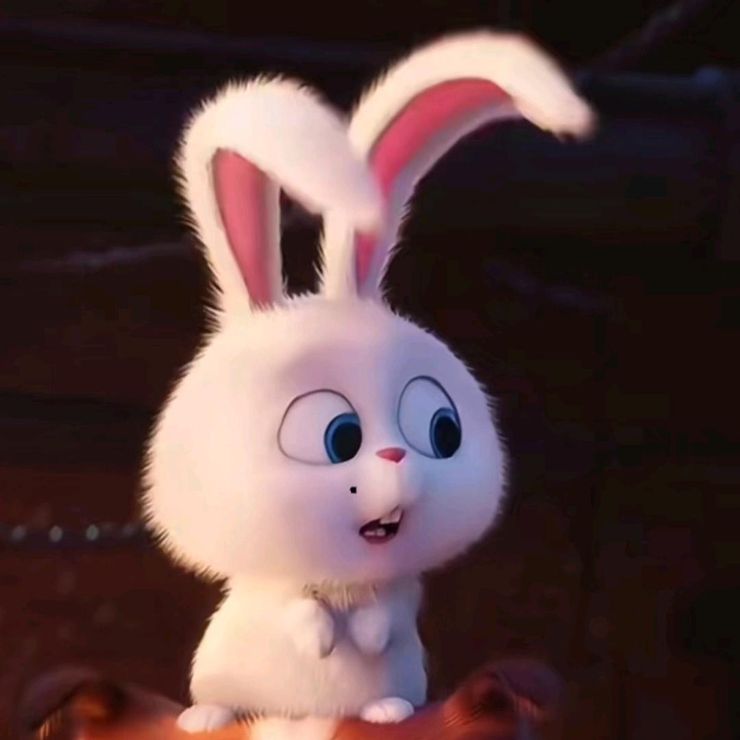 奶茶半唐(禁止连赞)