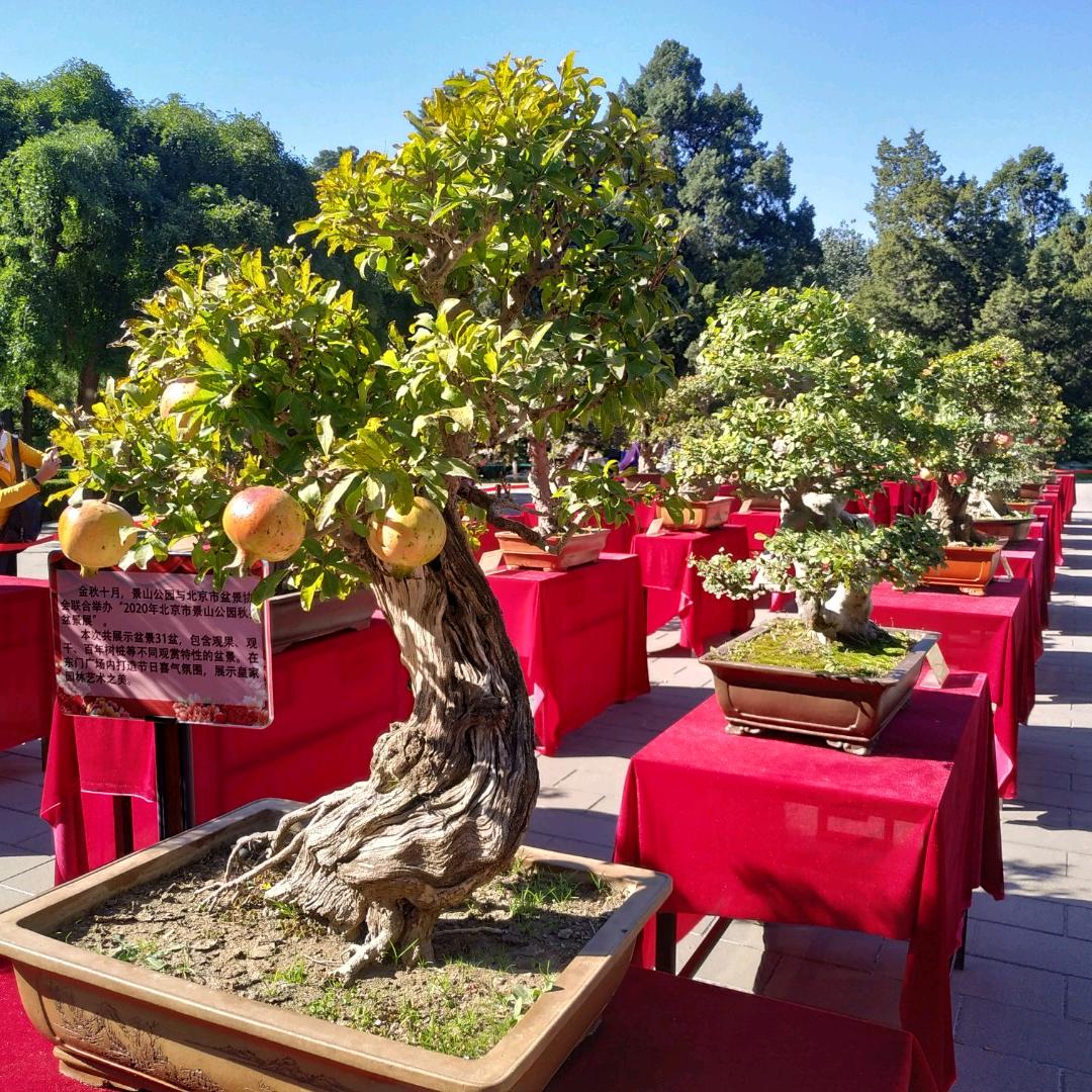 用户7642124566119天地人和