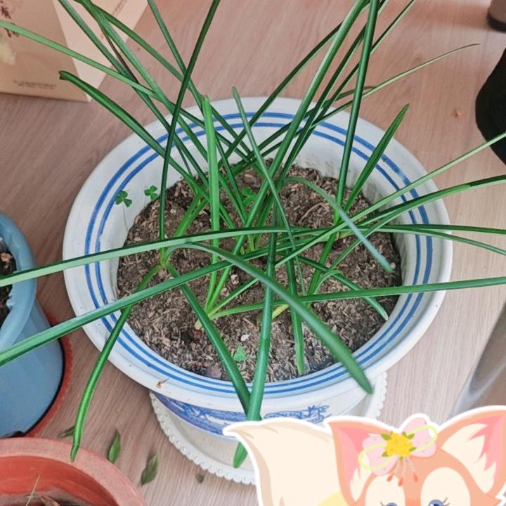坐看风云