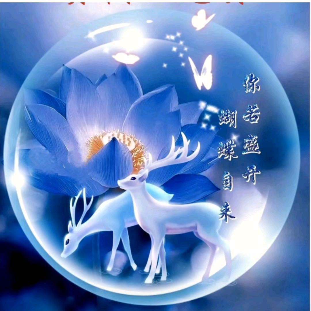 抖音不倒，陪你到老
