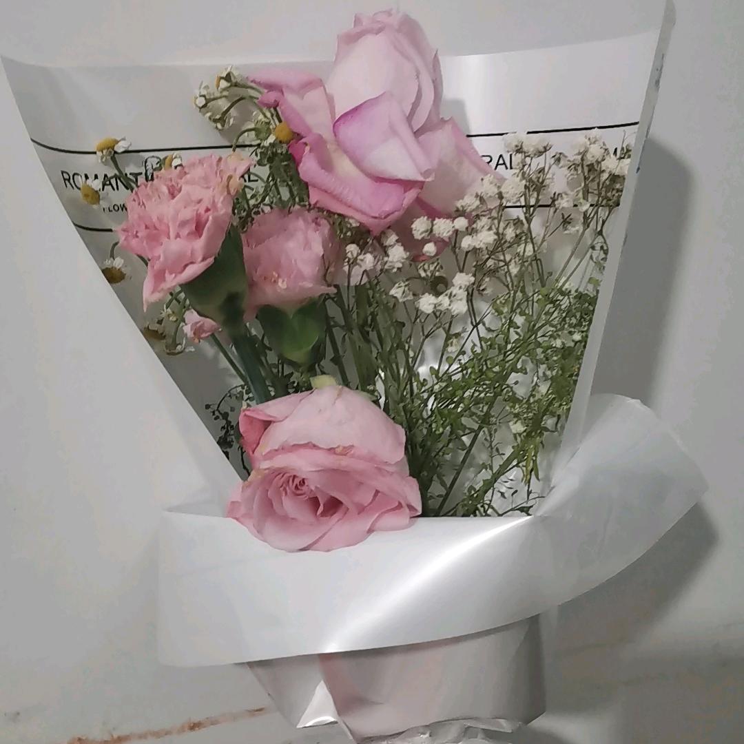 🐷①谁家公子哥