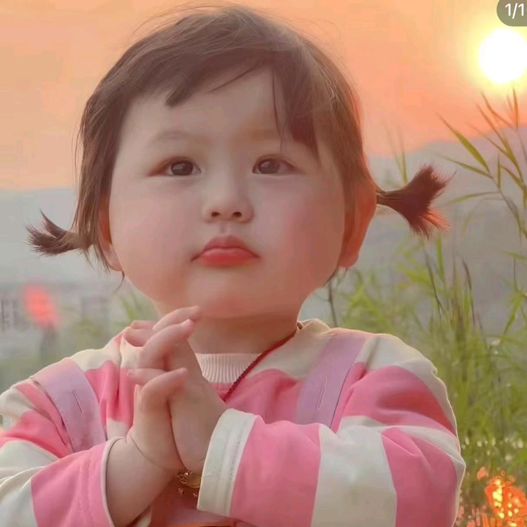 🌼樱之防。