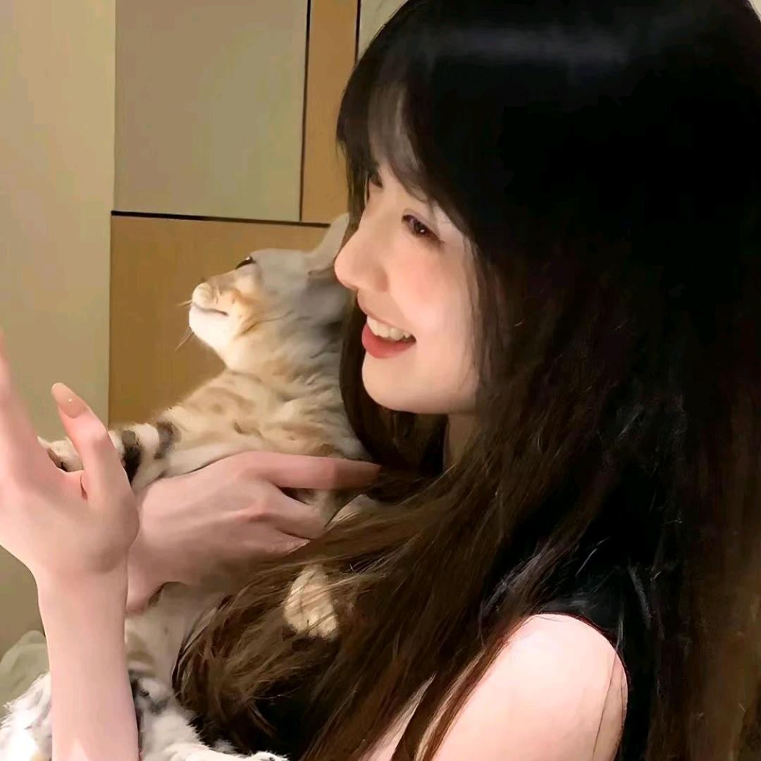 小小鲸落