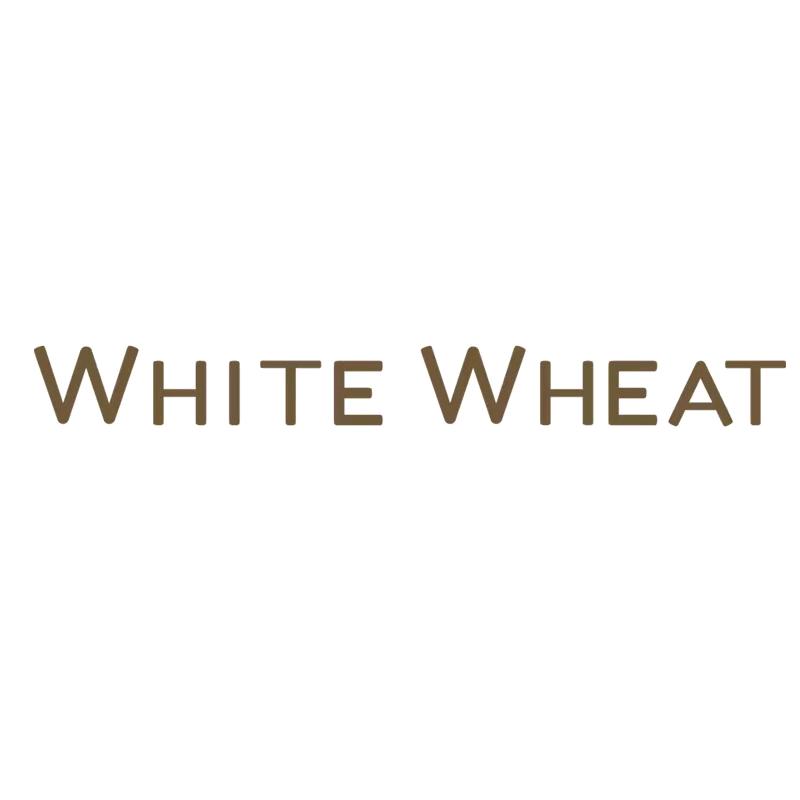whitewheat儿童服饰旗舰店