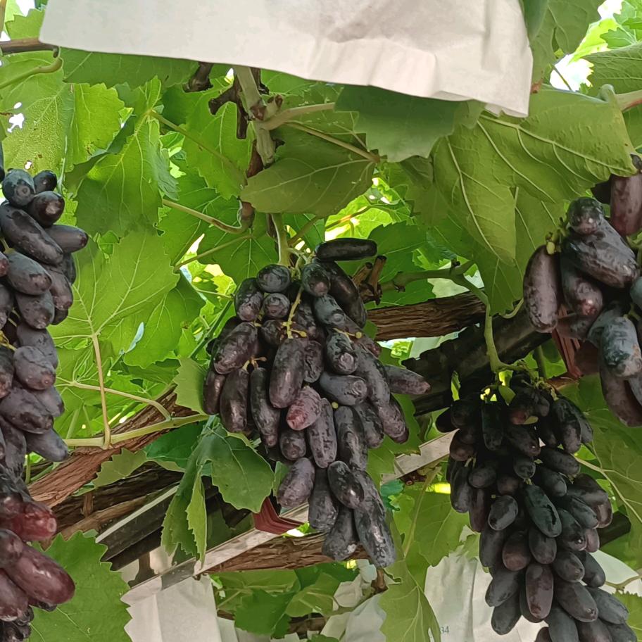 ^^☘静心音乐☘^^