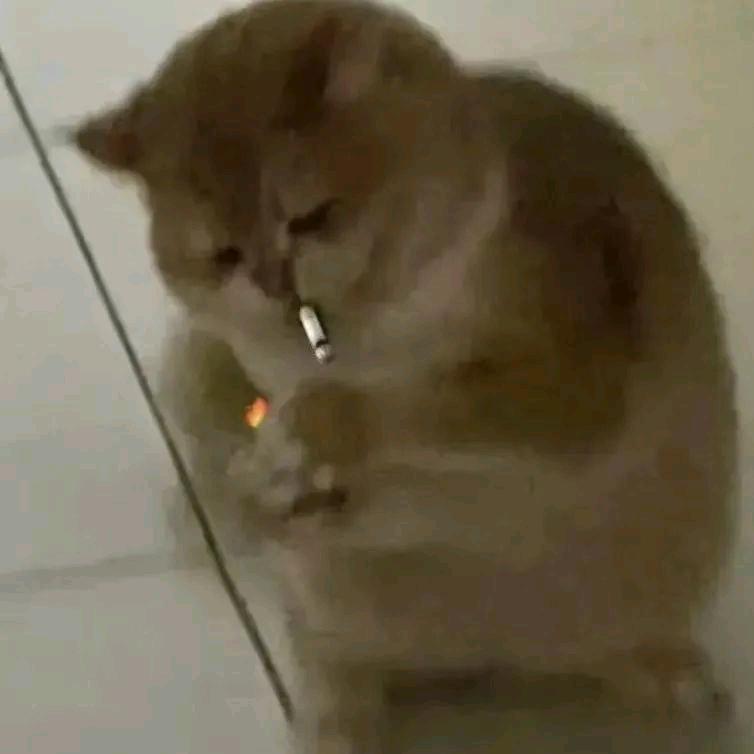 懒得化妆