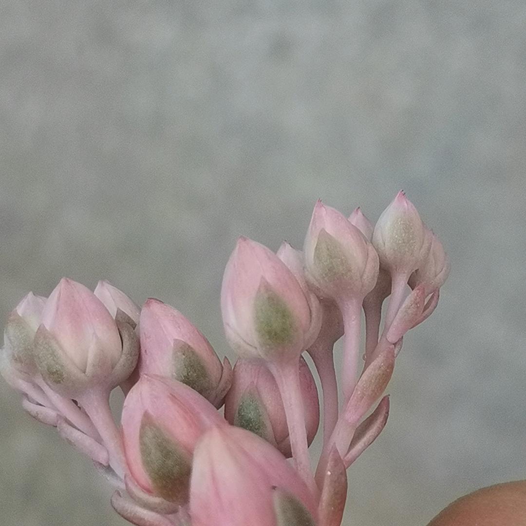 炫烂彩虹