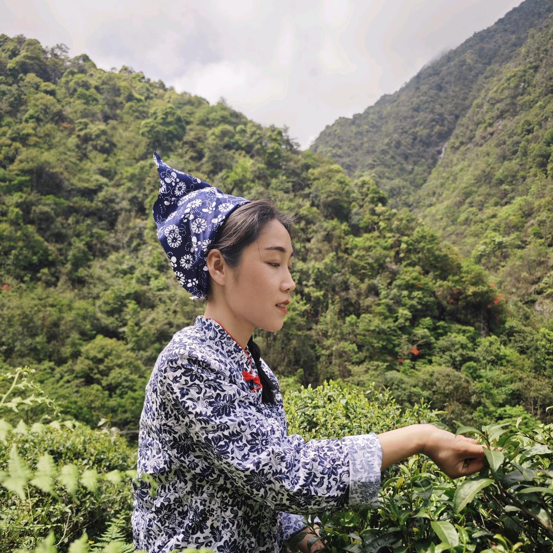 篁丫头
