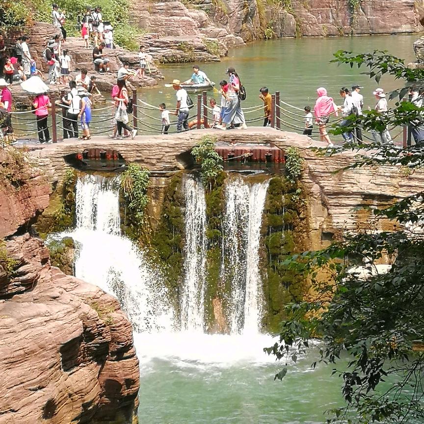 原始森林💪💪💪