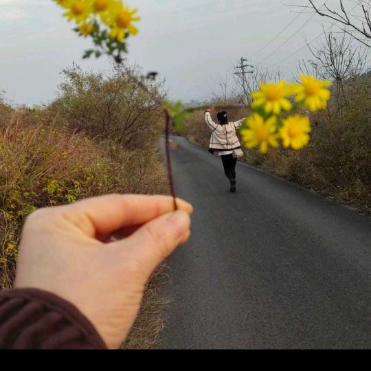聽哗開嘚聲吟