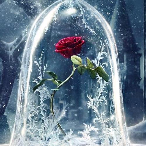 上善若水🌴🌴🌴