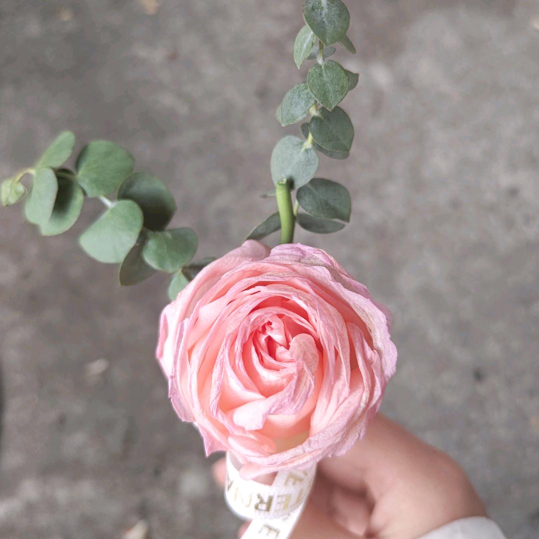 ᭄༊笑敬ঞ过往