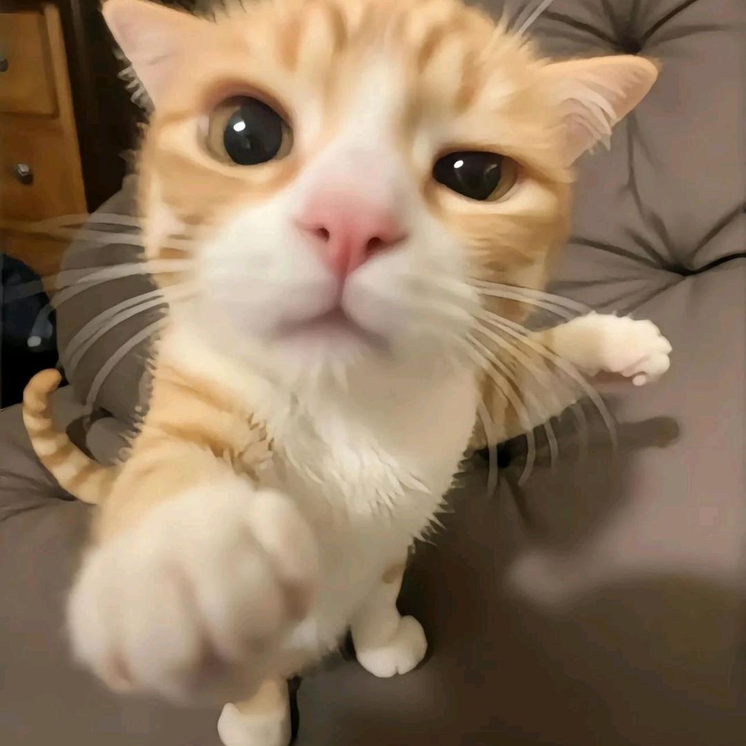 ！………………