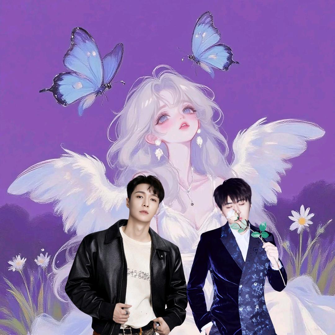 姜太公钓贝壳儿🐚💜🐬