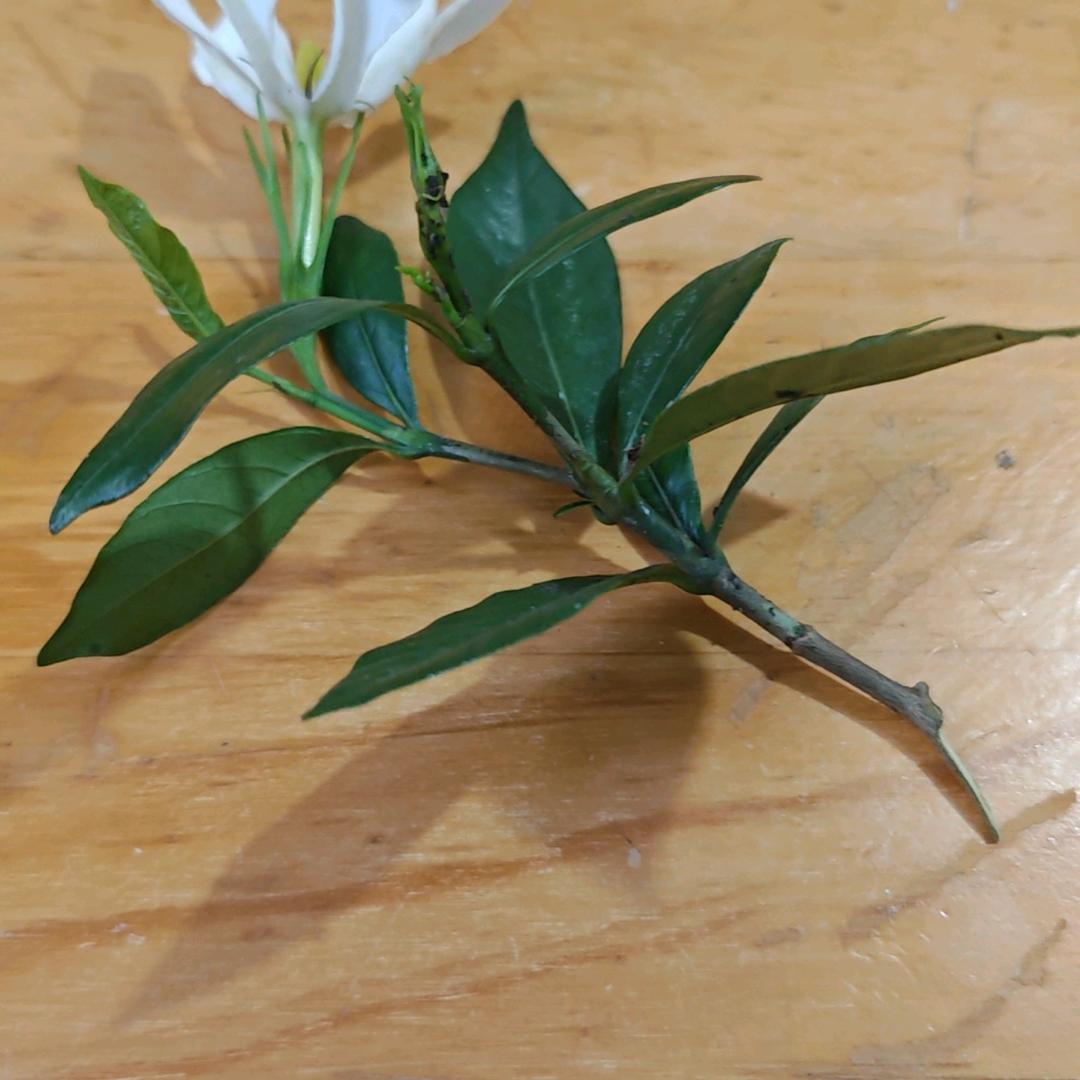 从新开始